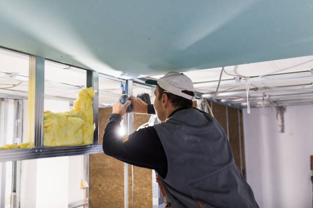 Professional Insulation Contractor in Desoto Lakes, FL