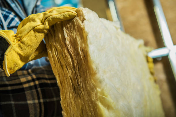 Best Attic Insulation Installation  in Desoto Lakes, FL