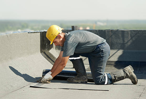 Best Insulation Contractor Near Me  in Desoto Lakes, FL