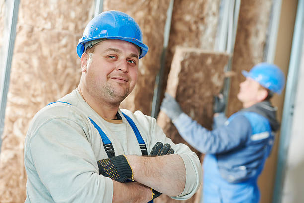 Best Residential Insulation Services  in Desoto Lakes, FL