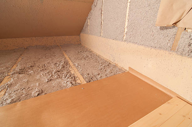 Best Wall Insulation Contractor  in Desoto Lakes, FL